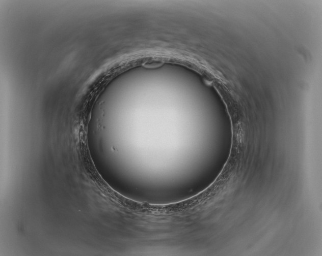 X0000115761495200911131145