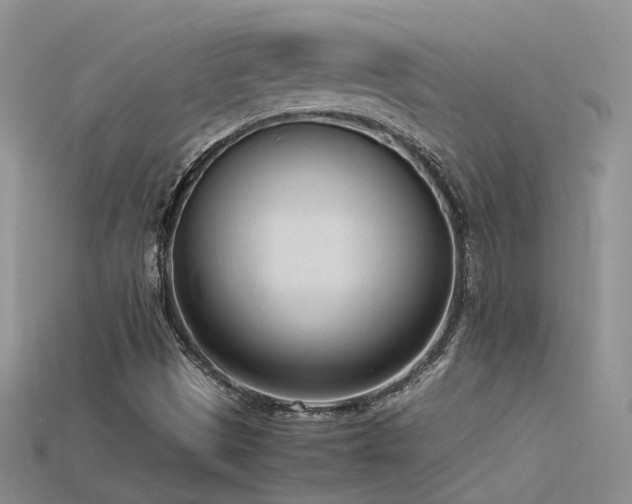 X0000115761497200911131145
