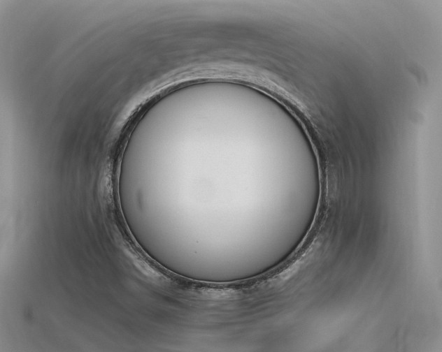 X0000115761498200911131145