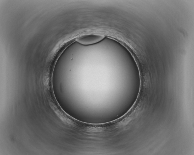 X0000115761499200911131145