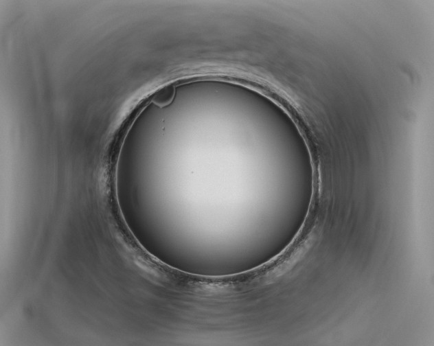 X0000115761501200911131145