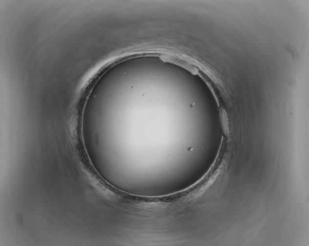 X0000115761502200911131145