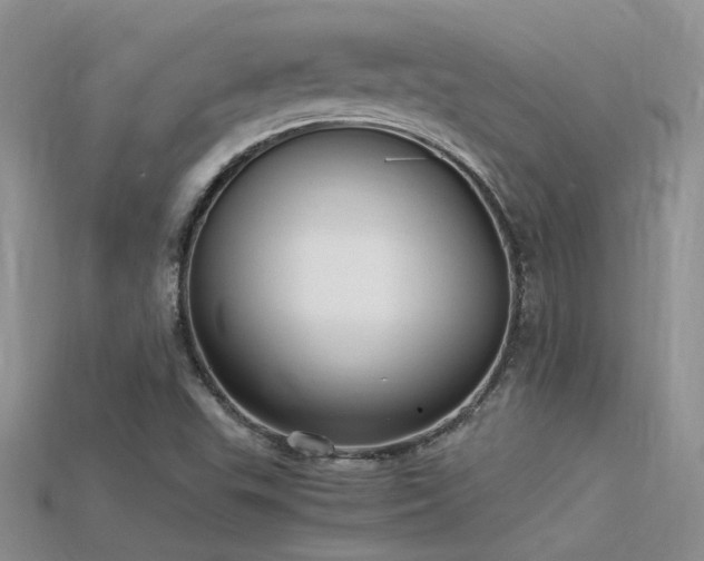 X0000115761503200911131145