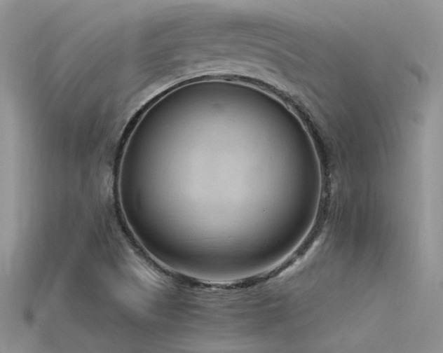 X0000115761505200911131145