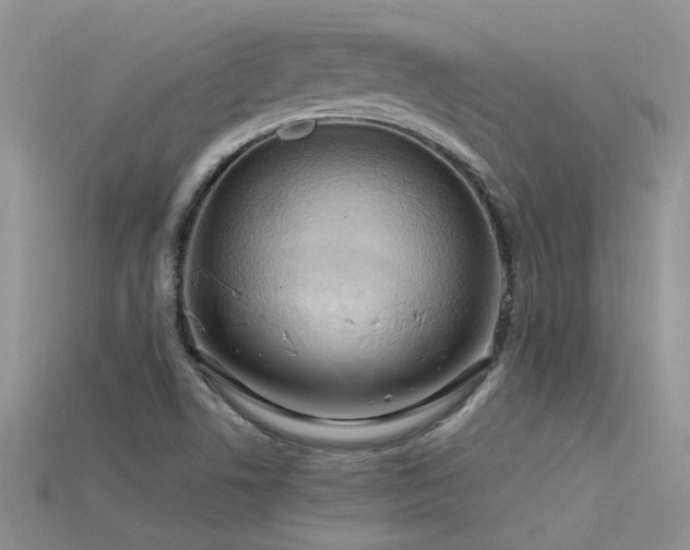X0000115761506200911131145