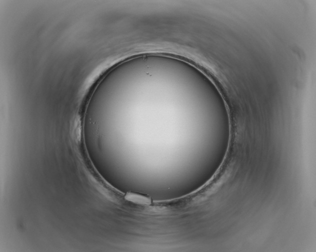 X0000115761509200911131145