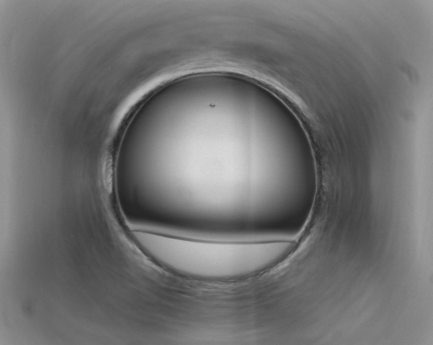 X0000115761510200911131145