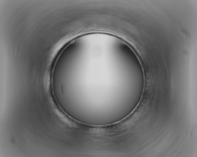 X0000115761511200911131145