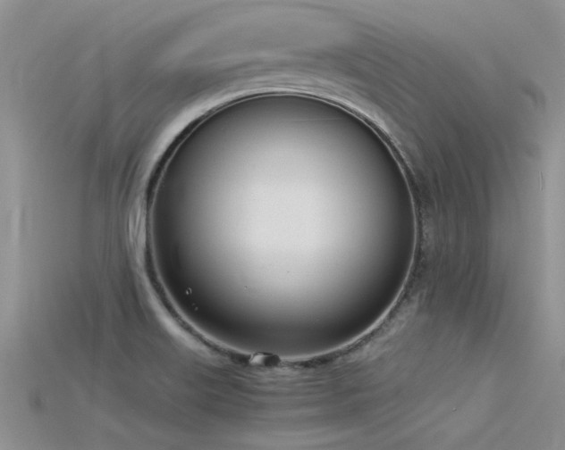 X0000115761515200911131145