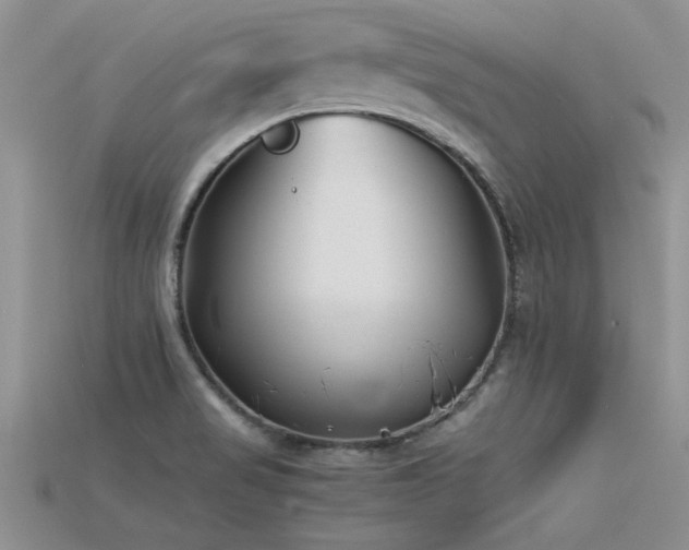 X0000115761517200911131145