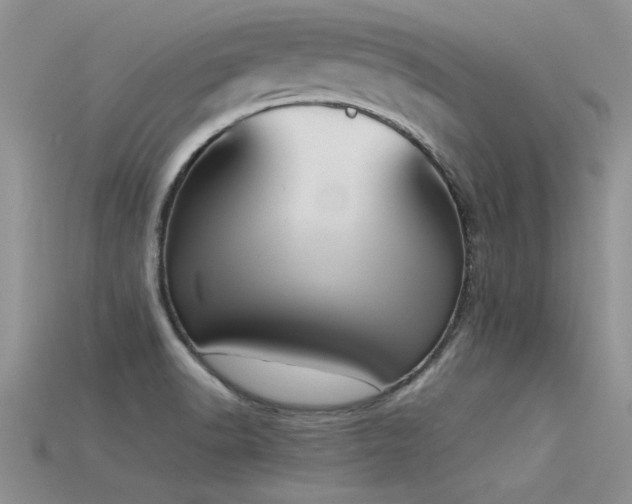 X0000115761518200911131145