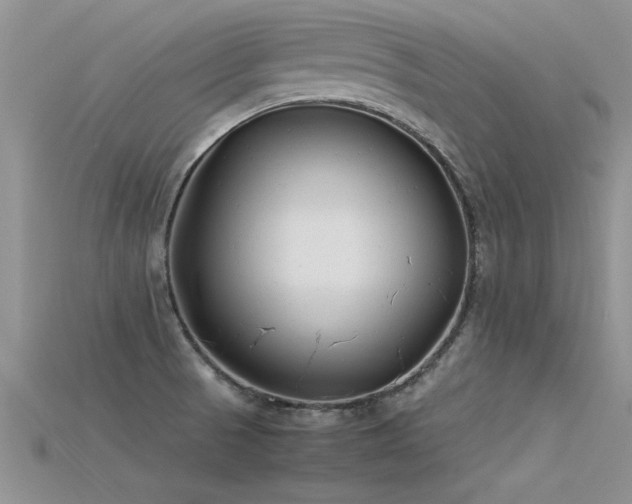 X0000115761521200911131145