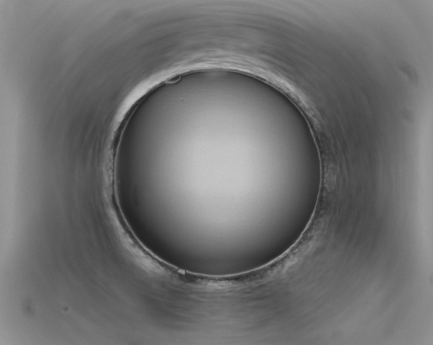 X0000115761522200911131145