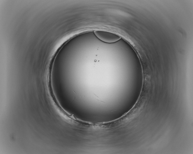 X0000115761523200911131145