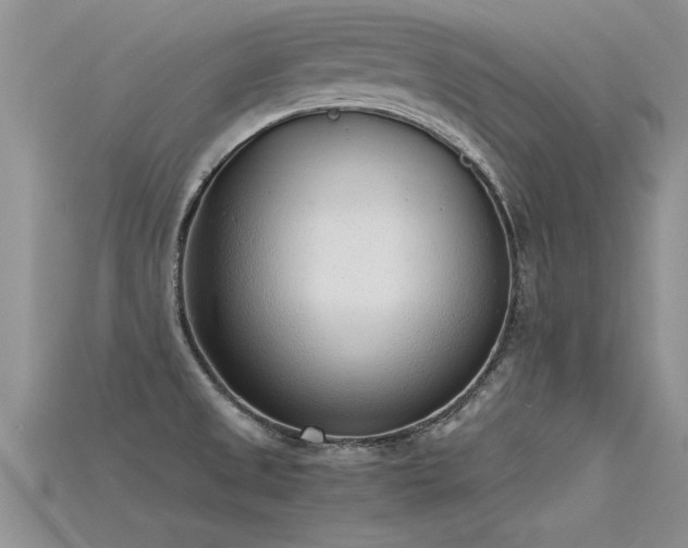 X0000115761525200911131145