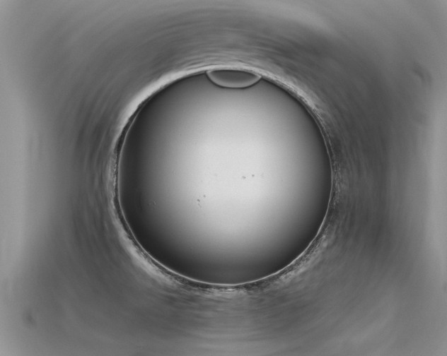 X0000115761526200911131145