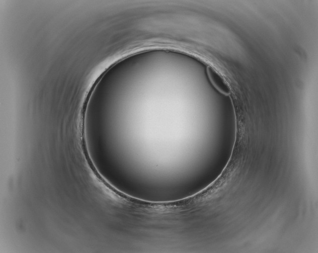 X0000115761527200911131145