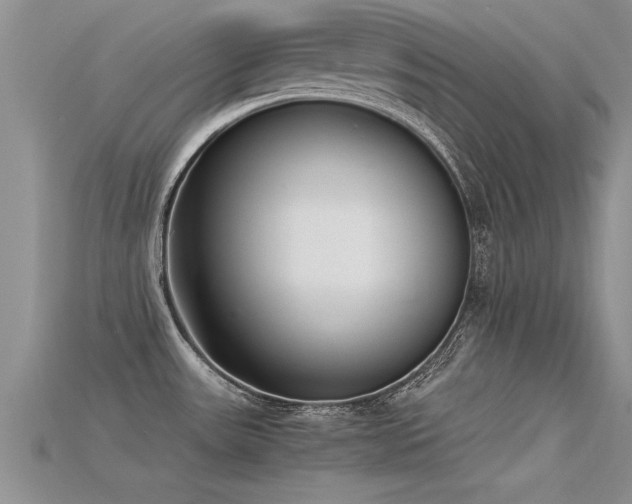 X0000115761531200911131145
