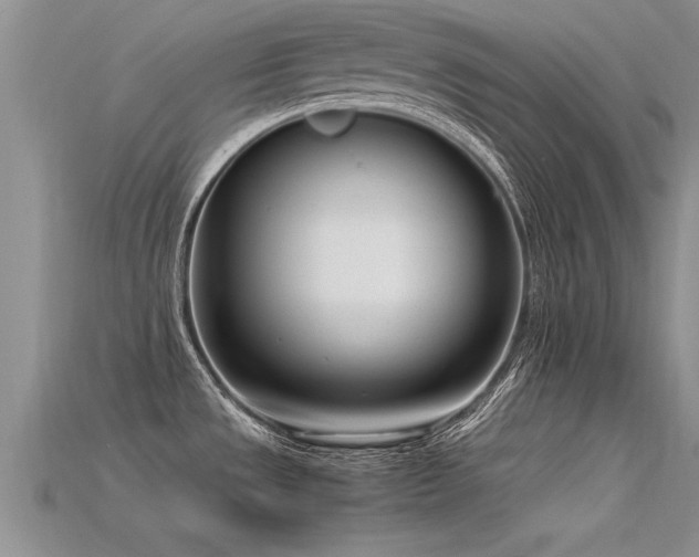 X0000115761533200911131145