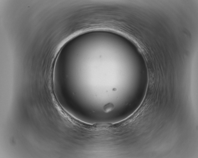 X0000115761534200911131145