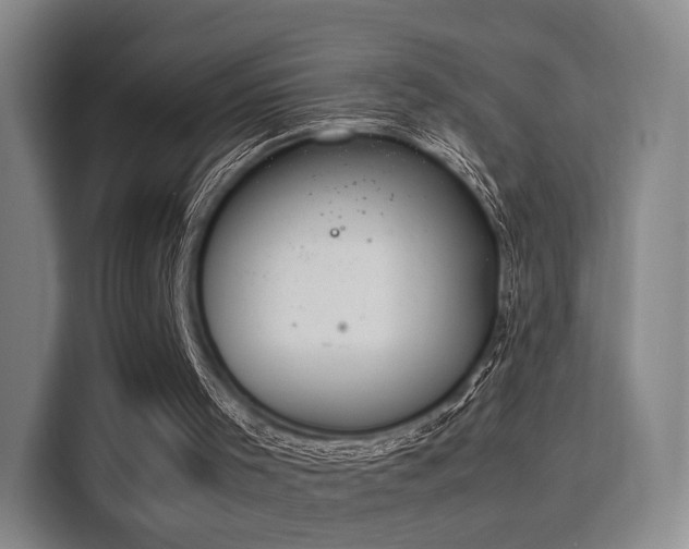 X0000115760001200911201208