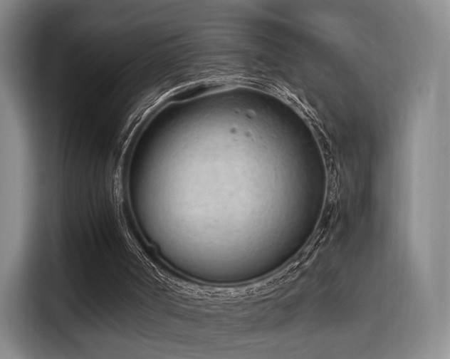 X0000115760002200911201208