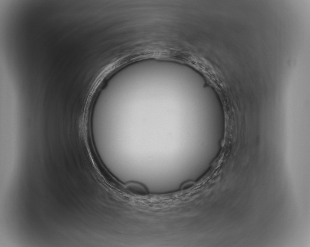 X0000115760003200911201208