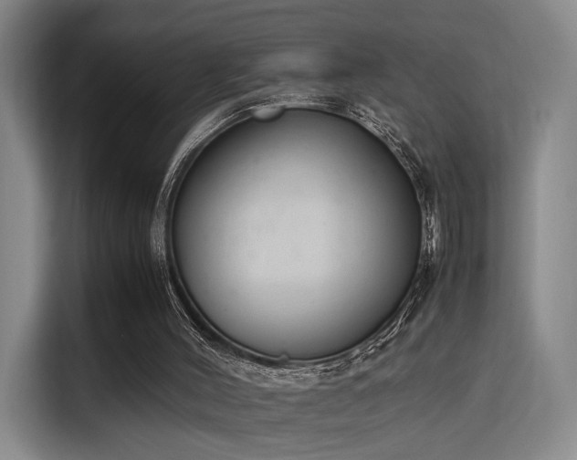 X0000115760004200911201208