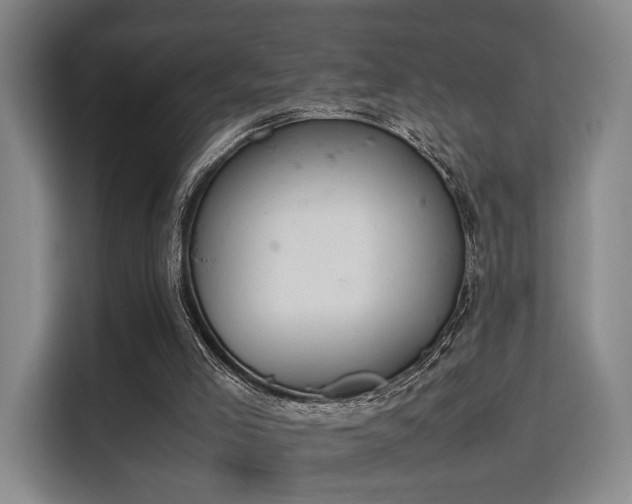 X0000115760005200911201208