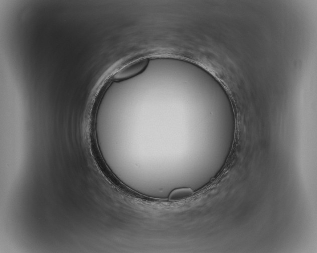 X0000115760007200911201208