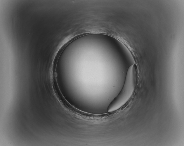X0000115760008200911201208