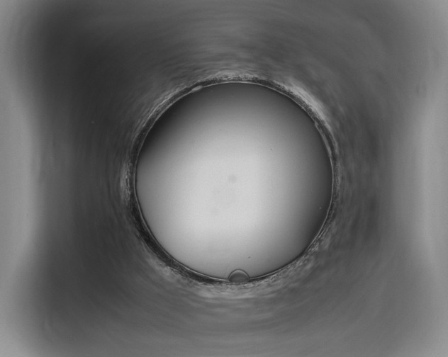 X0000115760009200911201207