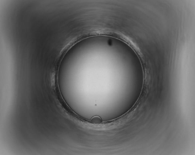 X0000115760010200911201207