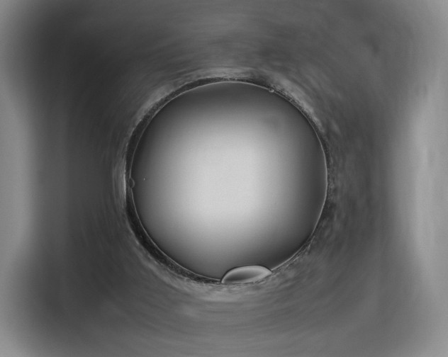 X0000115760011200911201207