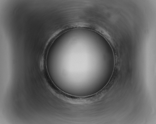 X0000115760012200911201207