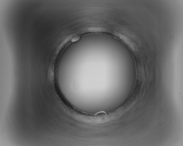 X0000115760015200911201207