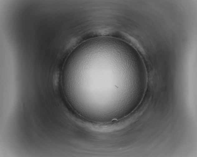 X0000115760018200911201207
