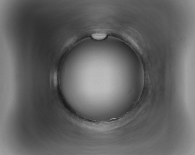 X0000115760019200911201207