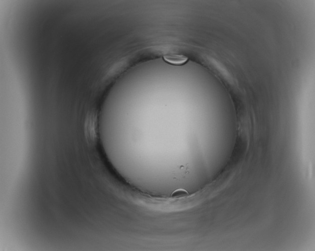 X0000115760023200911201207