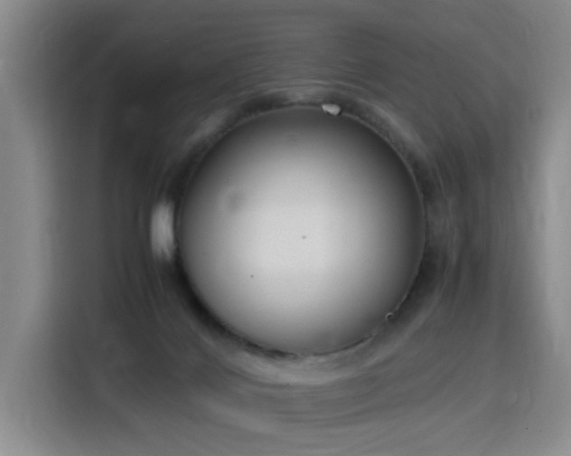 X0000115760028200911201207