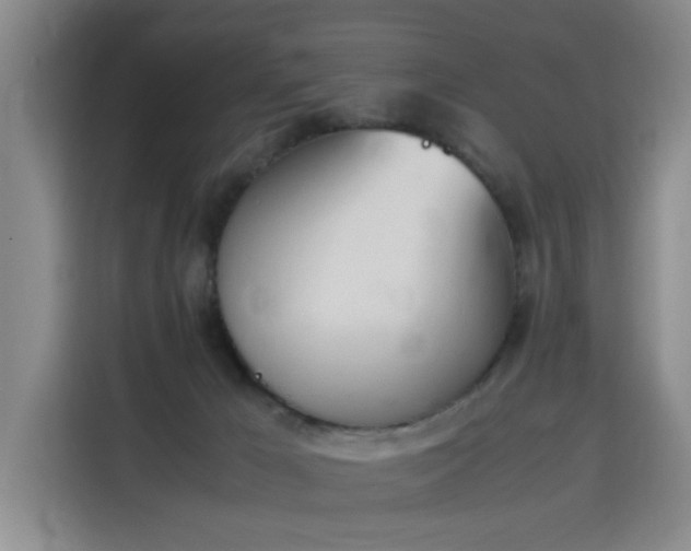 X0000115760029200911201207