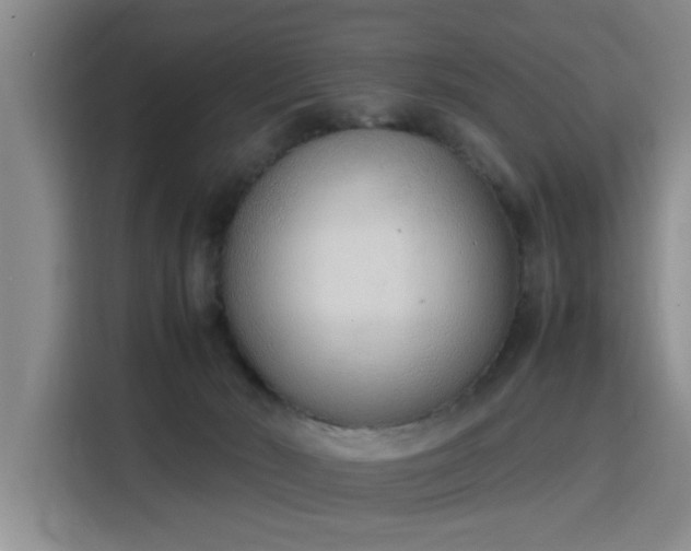 X0000115760030200911201207