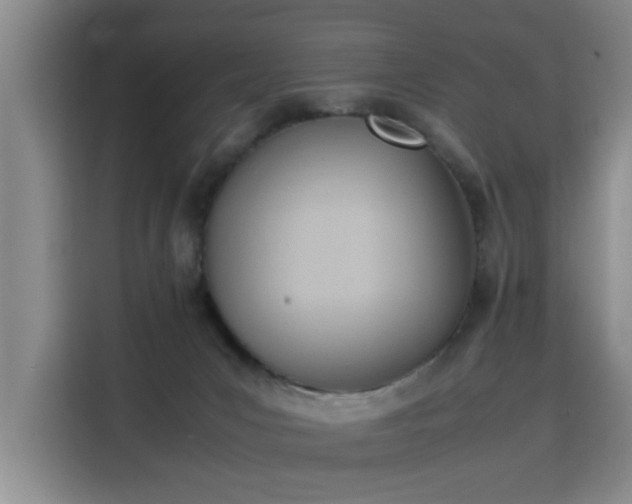X0000115760031200911201207