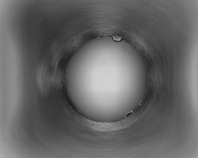 X0000115760034200911201207