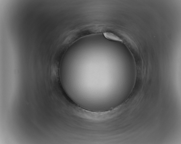 X0000115760035200911201207