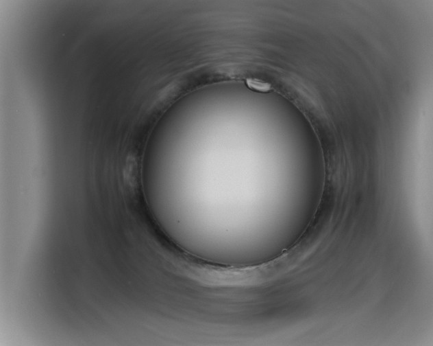 X0000115760036200911201207