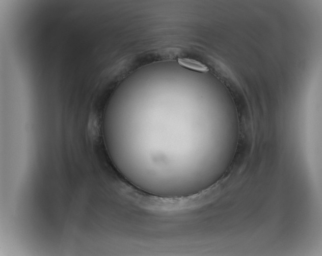 X0000115760037200911201207