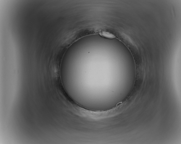 X0000115760039200911201207