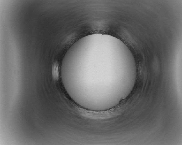 X0000115760042200911201207