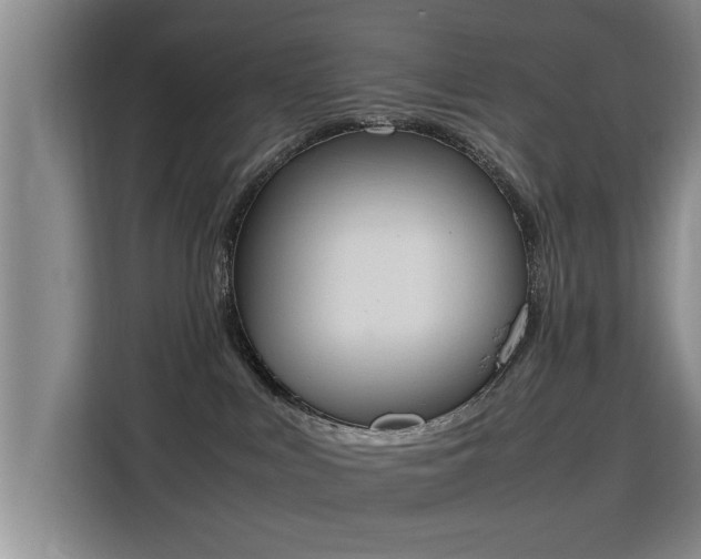 X0000115760043200911201207